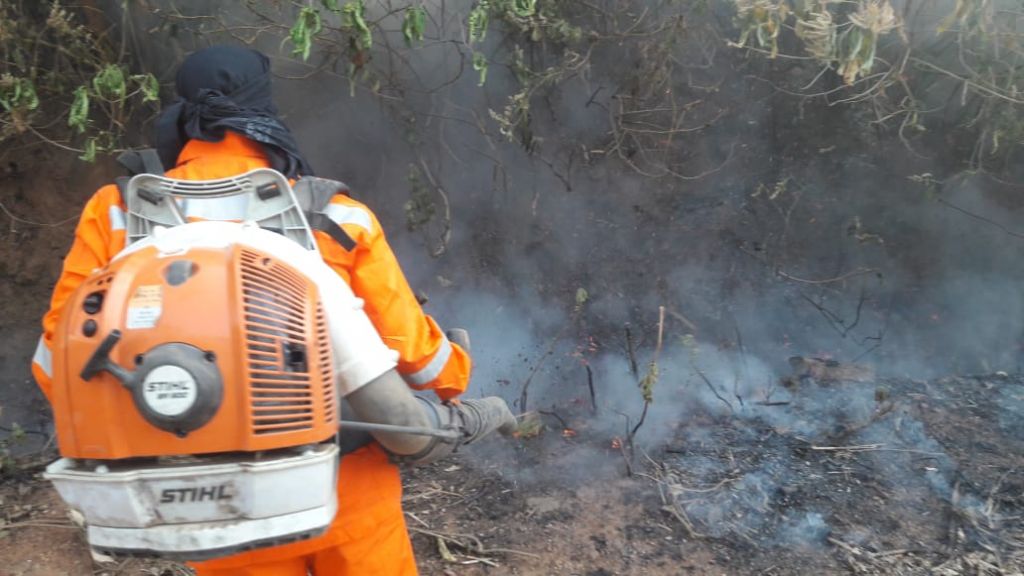 पारसनाथ पर्वत पर लगी आग को बुझाने के लिए वन विभाग की टीम ने संभाला मोर्चा।